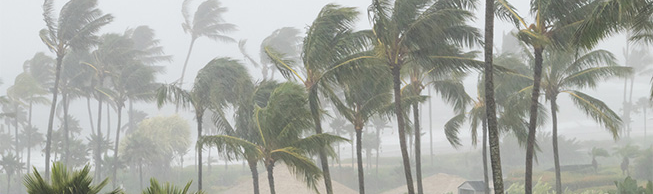 La saison des tempêtes tropicales est arrivée! Consultez nos conseils pour planifier votre voyage en conséquence.